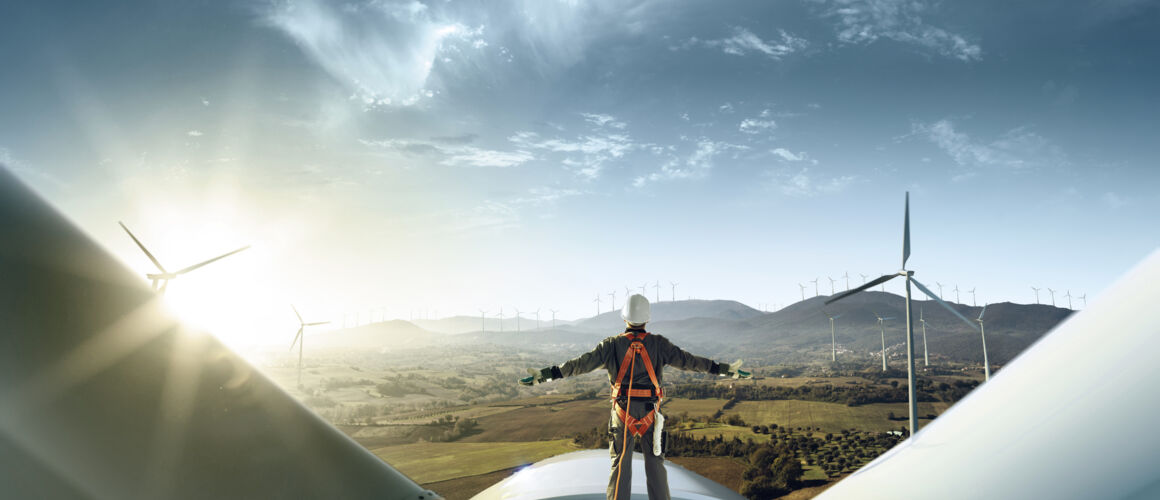 Bachmann Karriere Wind