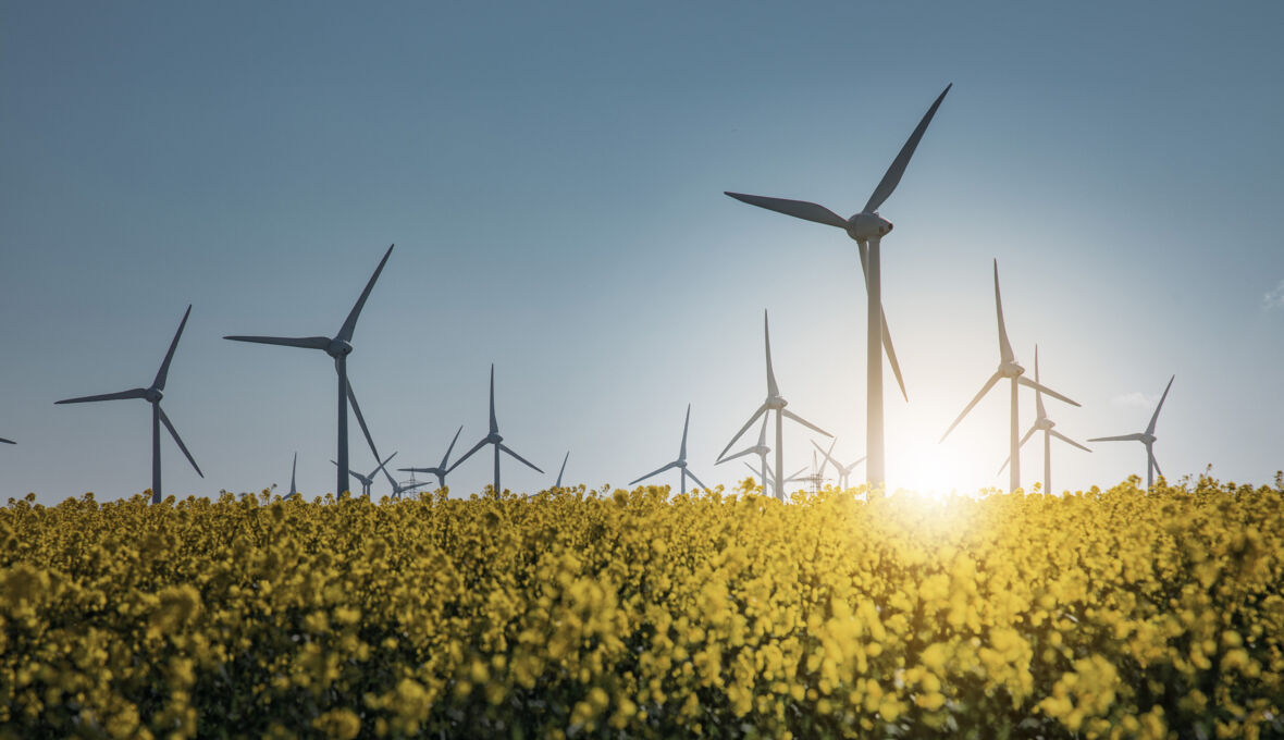 112A3827_lichtpunkt_bearb_höher_web 112A3827_lichtpunkt_bearb_höher_web