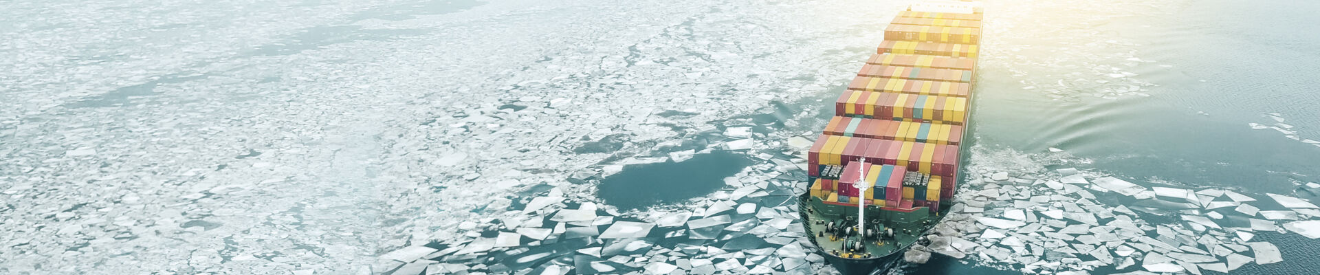 AdobeStock_193818287_bearb