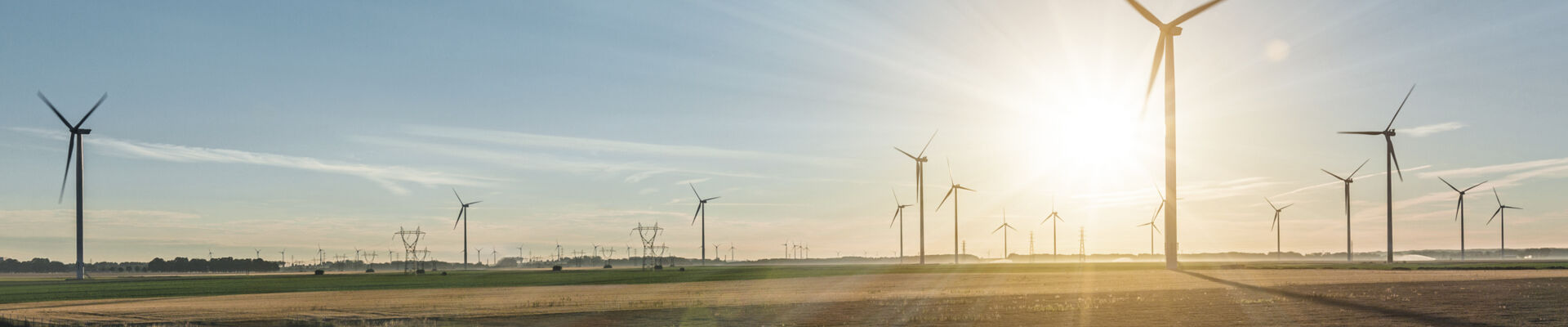 AdobeStock_128341611