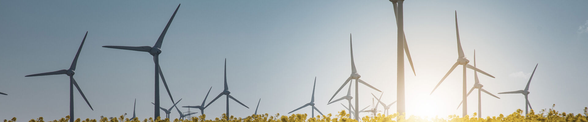 112A3827_lichtpunkt_bearb_höher_web