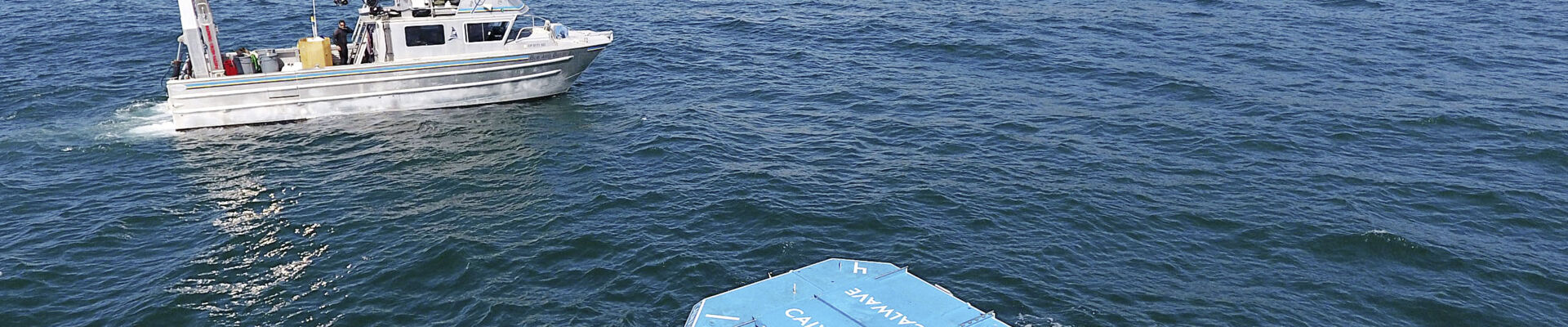 CalWave-Pilot-23-scaled_bearb