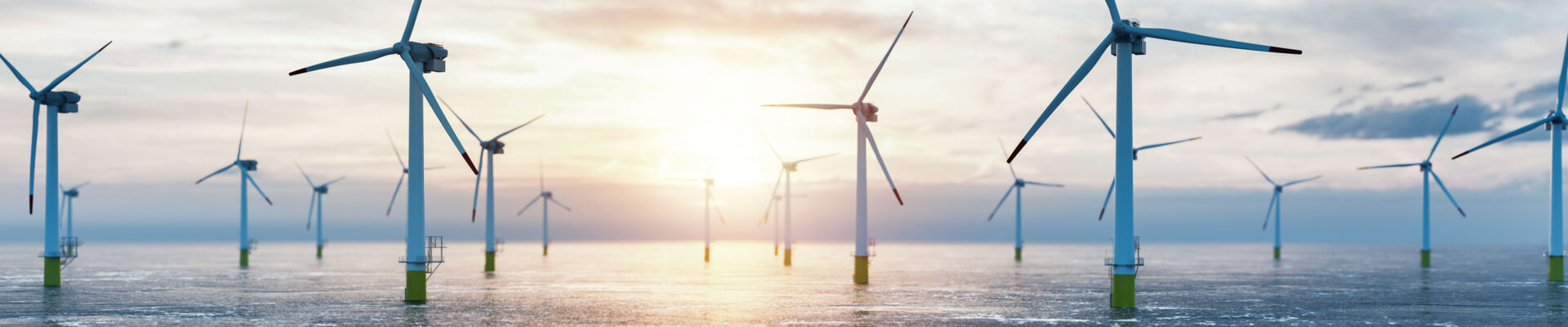 AdobeStock_376229838_bearb_web