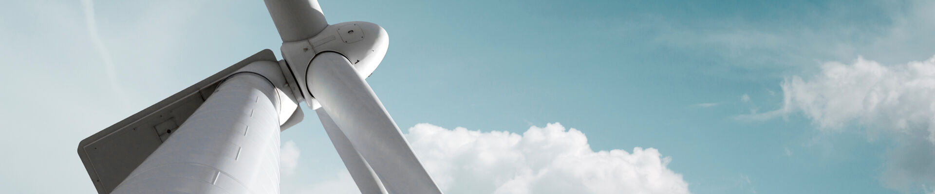 AdobeStock_101476841_web