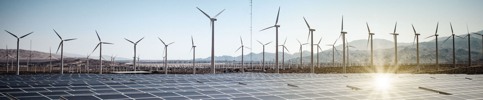 iStock-544330250_lichtpunkt_bearb