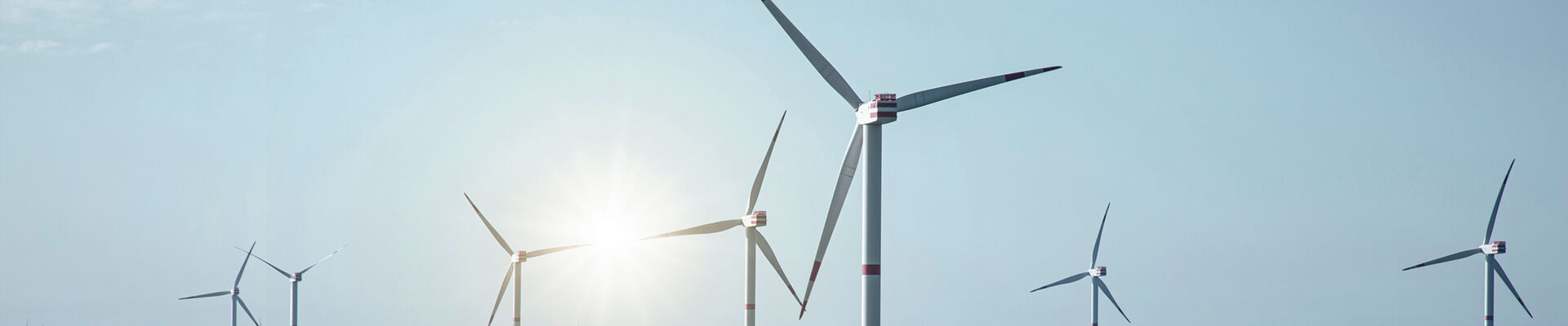 112A4042_lichtpunkt_bearb