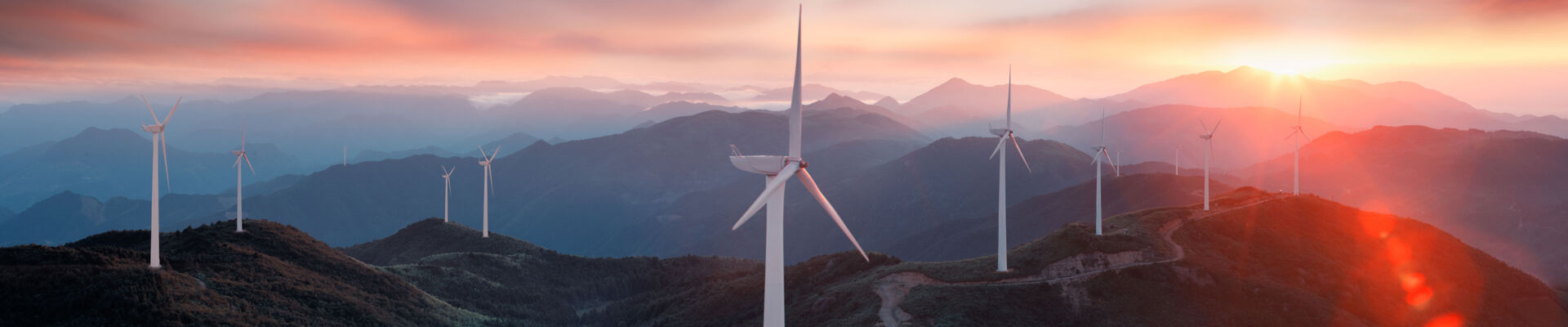 AdobeStock_215842794_web