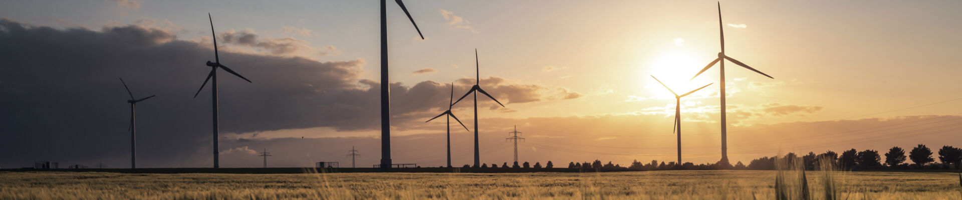 AdobeStock_110917164_lichtpunkt_bearb_web