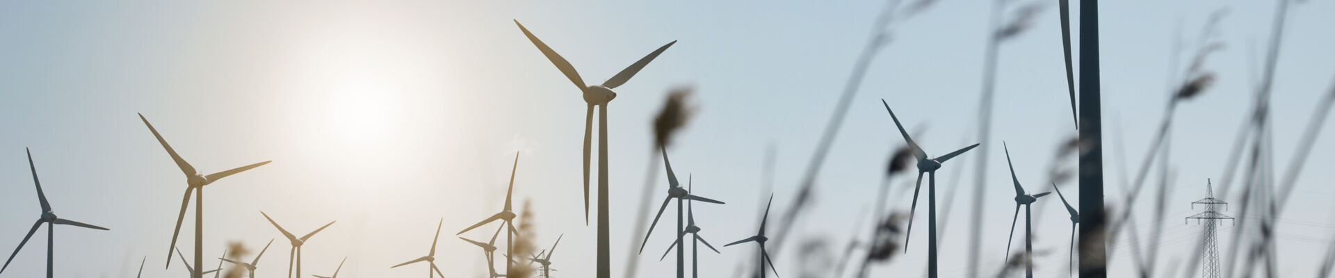 112A3847_red_Lichtpunkt_web