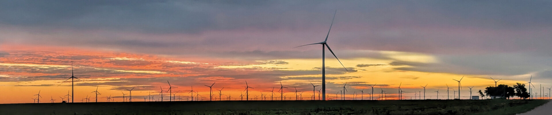 PXL_20250709_113606989_bearb_web