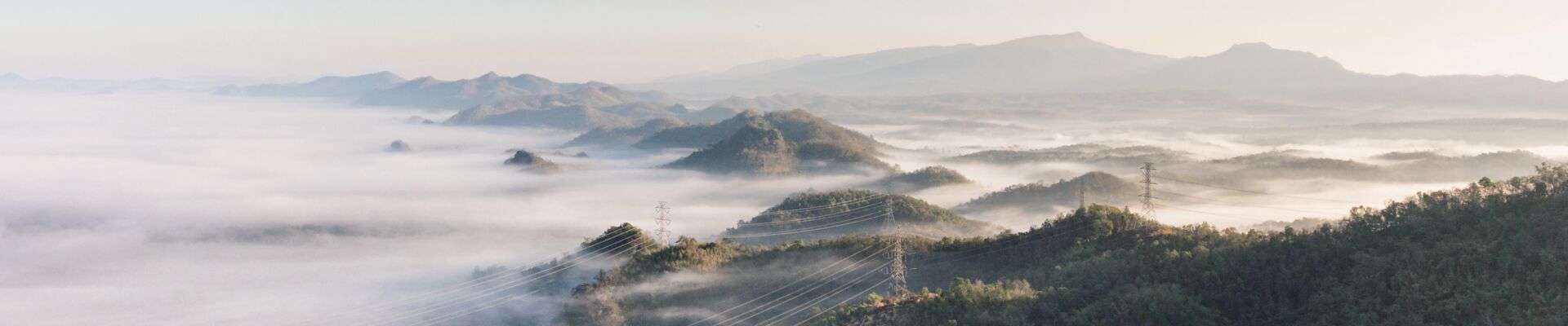 AdobeStock_508905233_bearb