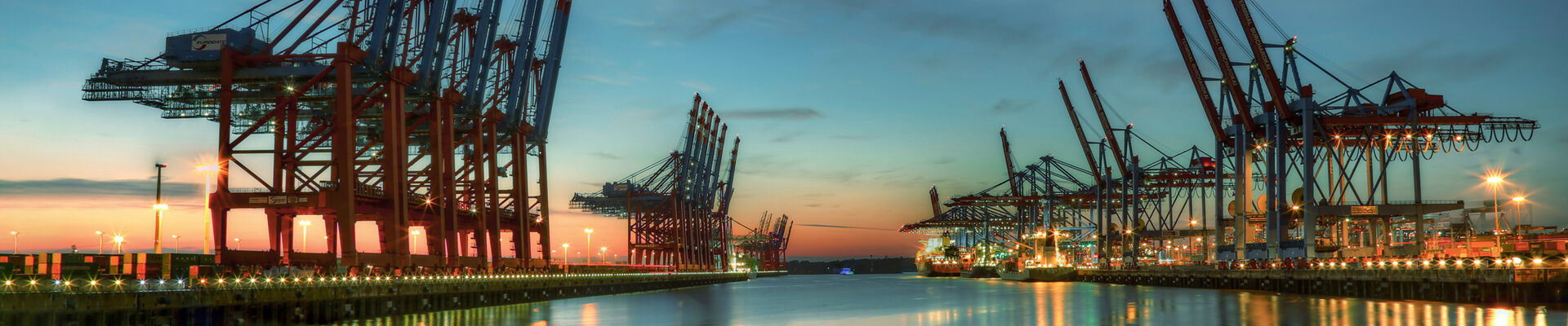 AdobeStock_169102655_bearb_web