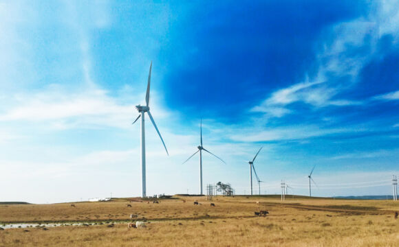 WEG_NPS_Wind_energy_Brazil