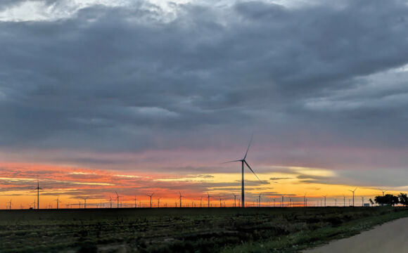 PXL_20250709_113606989_bearb_web