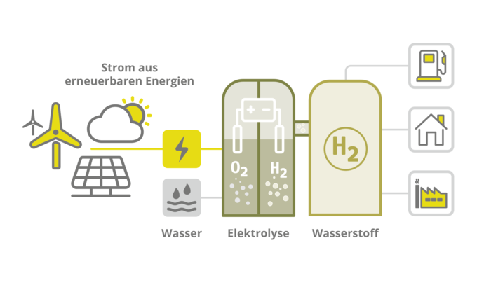 03_topologie_Gruener_Wasserstoff_DE