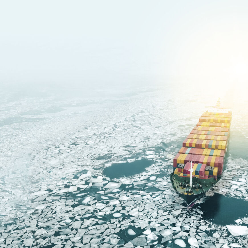 AdobeStock_193818287_bearb AdobeStock_193818287_bearb