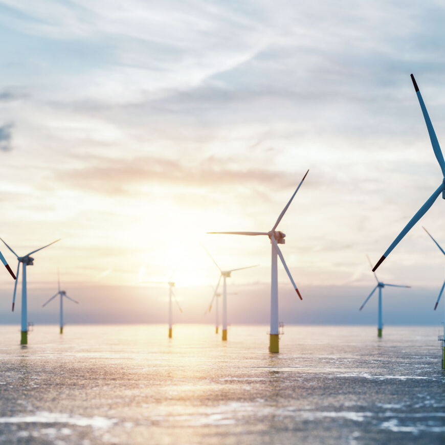 AdobeStock_376229838_bearb_web