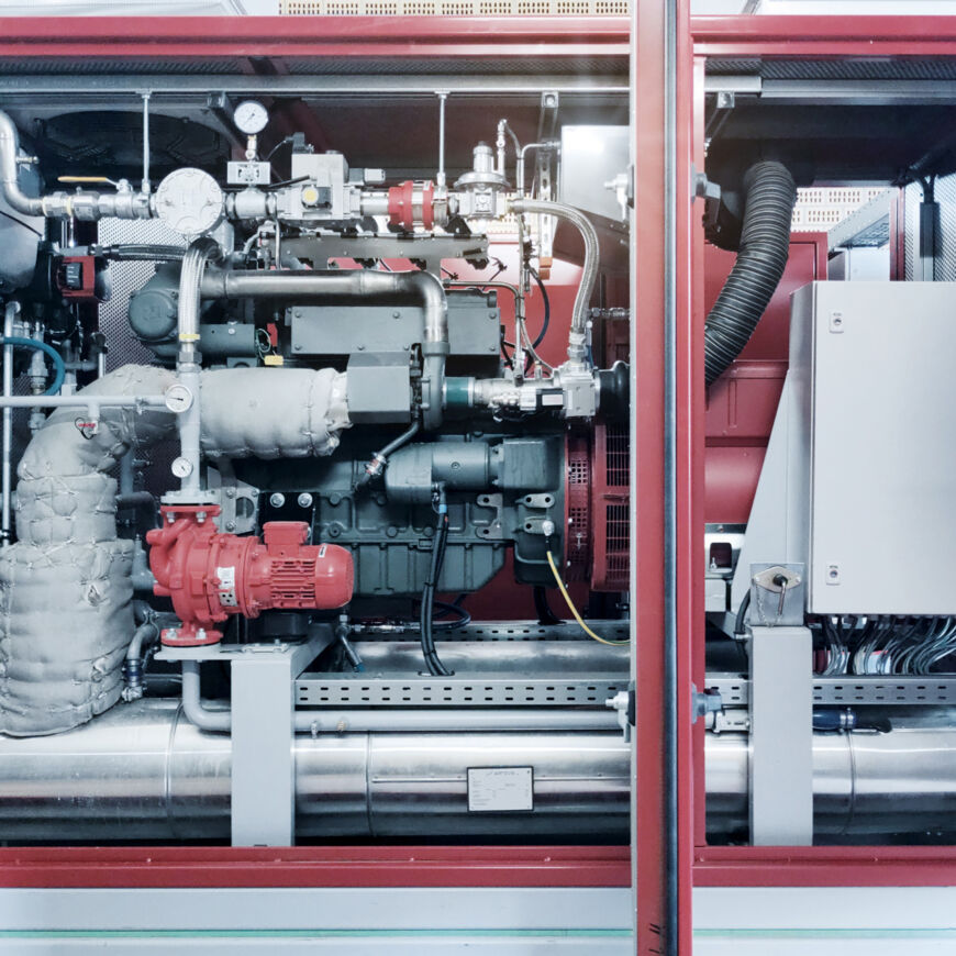 IMG_20221012_093240_bearb IMG_20221012_093240_bearb