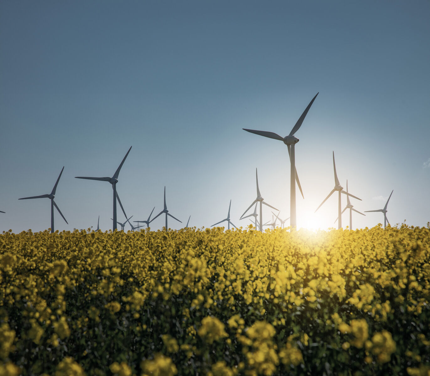 112A3827_lichtpunkt_bearb_höher_web 112A3827_lichtpunkt_bearb_höher_web